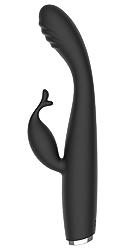 ASHV13